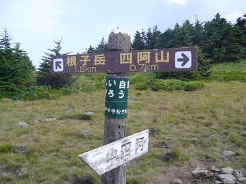 f0065941_21533573.jpg