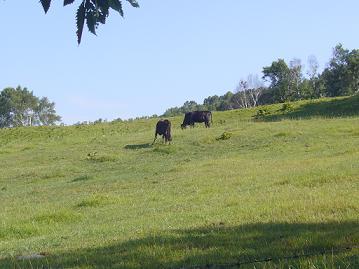 f0065941_21542674.jpg