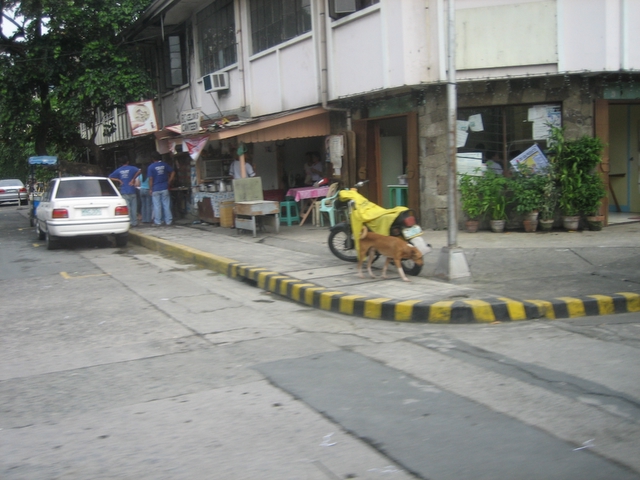 e0018143_2503374.jpg
