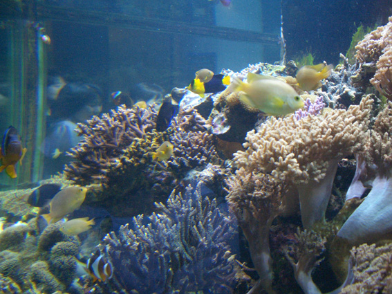 b0002156_13363898.jpg
