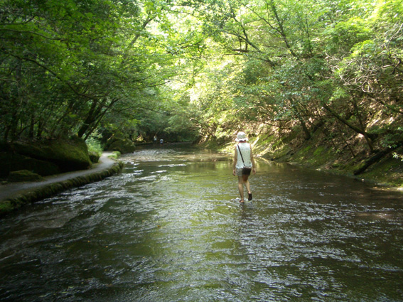 b0002156_13494187.jpg