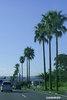 b0102560_22215288.jpg