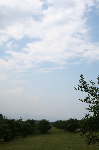 e0068962_2118871.jpg