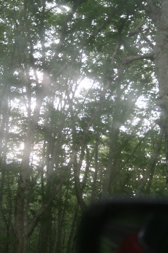 e0068962_2135019.jpg
