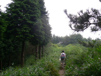 a0063364_22453824.jpg