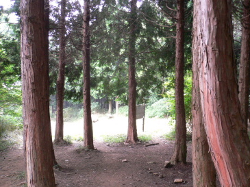 a0063364_2313234.jpg
