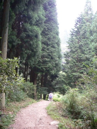 a0063364_2365049.jpg