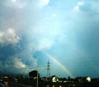 b0009665_1791415.jpg