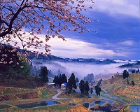 b0086765_15424958.jpg