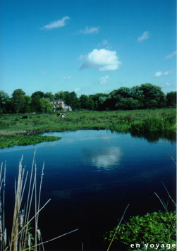 d0080167_1456193.jpg