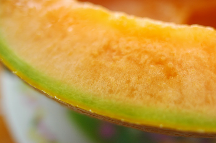 c0026870_135260.jpg