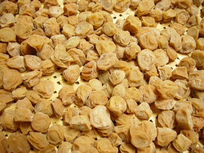 a0011999_22552238.jpg