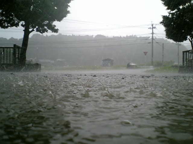 f0097101_15245576.jpg