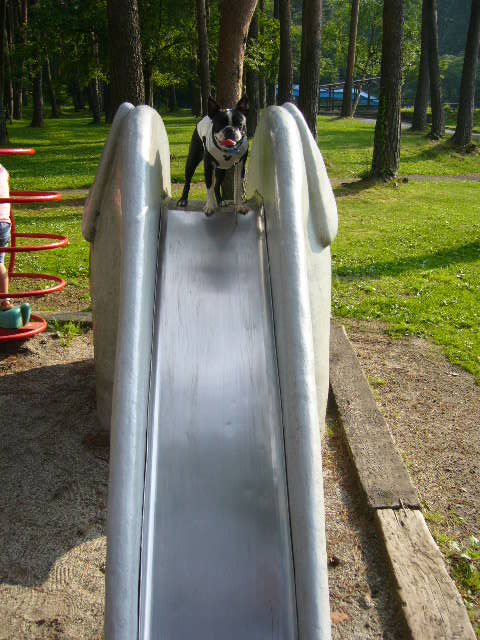 d0070702_024888.jpg