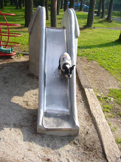 d0070702_0254588.jpg