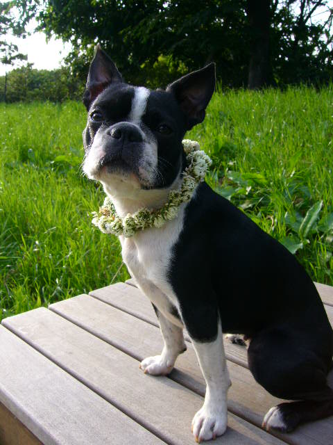 d0070702_0344335.jpg