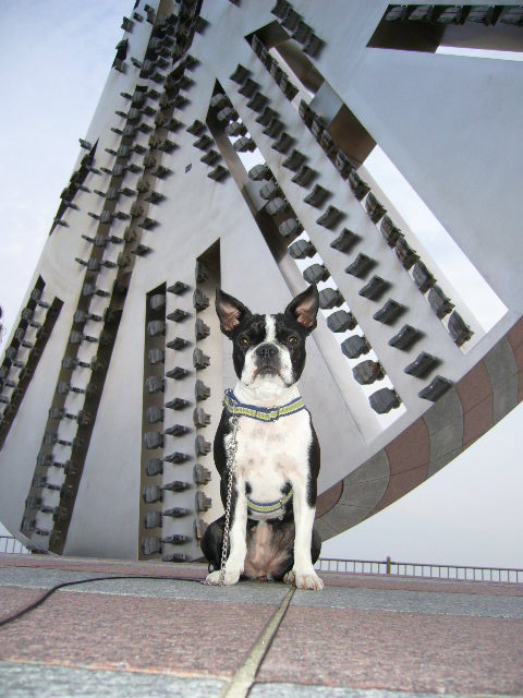 d0070702_07375.jpg