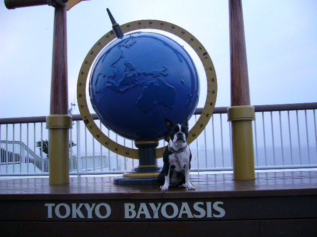 d0070702_08351.jpg