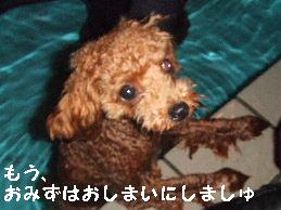 a0007906_9183969.jpg