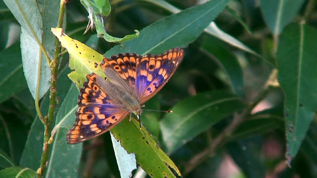 c0047906_22203512.jpg