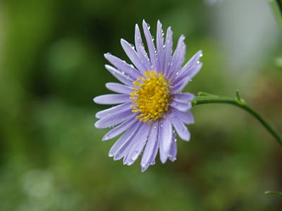 a0041508_2314552.jpg