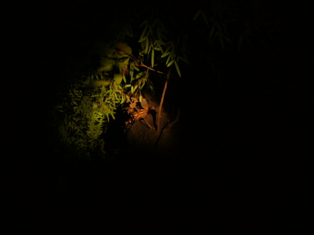 e0015108_2535726.jpg
