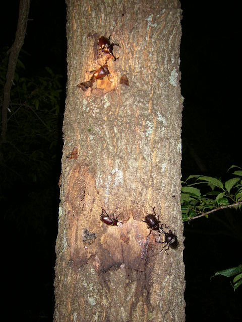 e0015108_257253.jpg