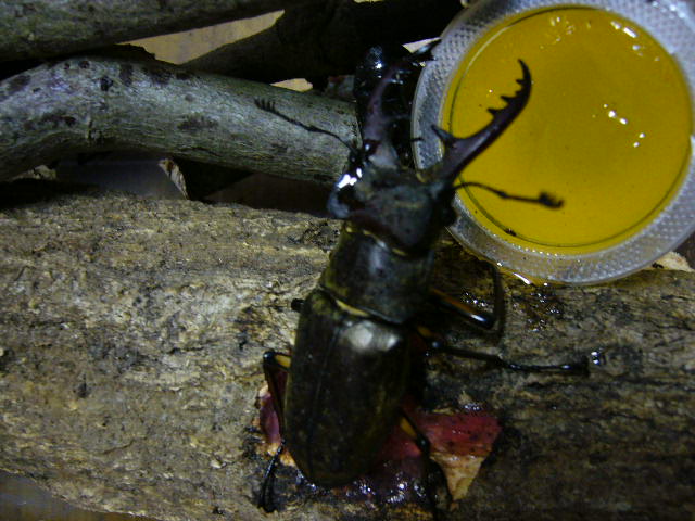 e0015108_304754.jpg