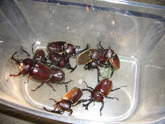 e0015108_3142030.jpg