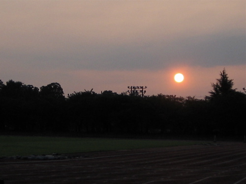 b0046210_207526.jpg