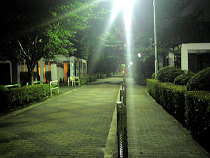 a0022014_1162910.jpg