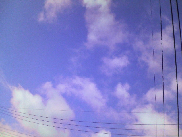 a0077616_17331924.jpg