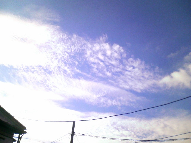 a0077616_17345132.jpg