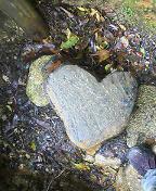 c0000816_21365083.jpg