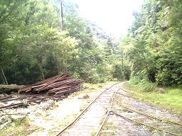 c0000816_2184536.jpg