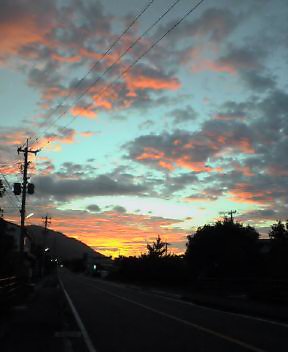 c0000816_2214089.jpg