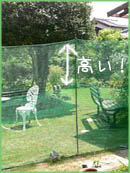 c0060620_17494960.jpg