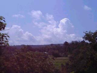 c0060920_12463537.jpg
