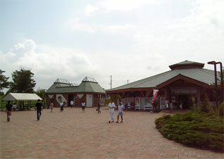 c0048625_2256821.jpg
