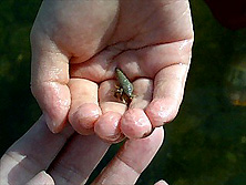 f0039934_11392390.jpg