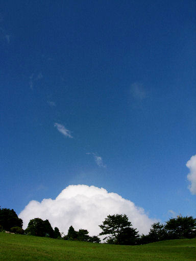 c0032138_15584522.jpg