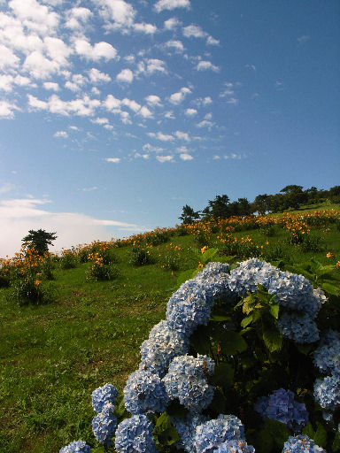 c0032138_1559279.jpg
