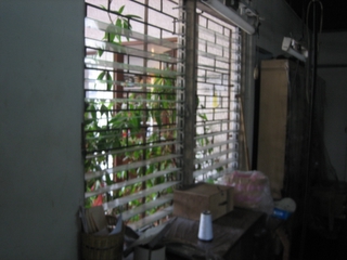 e0018143_0252524.jpg