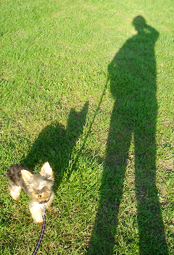 c0024345_12122688.jpg