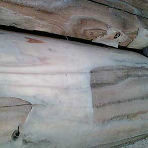 e0069646_10154377.jpg