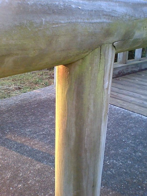 e0069646_10473095.jpg