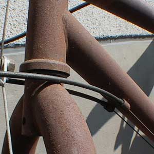 e0069646_1084433.jpg
