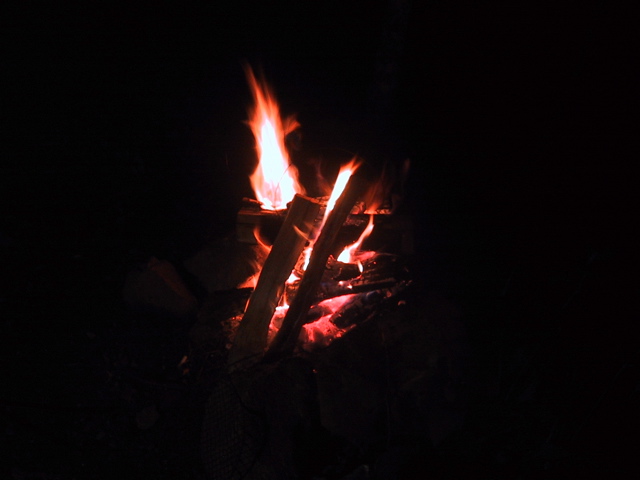 f0046250_128537.jpg