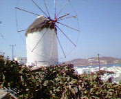 d0034352_354883.jpg