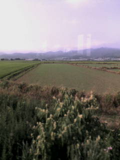 c0059660_658478.jpg